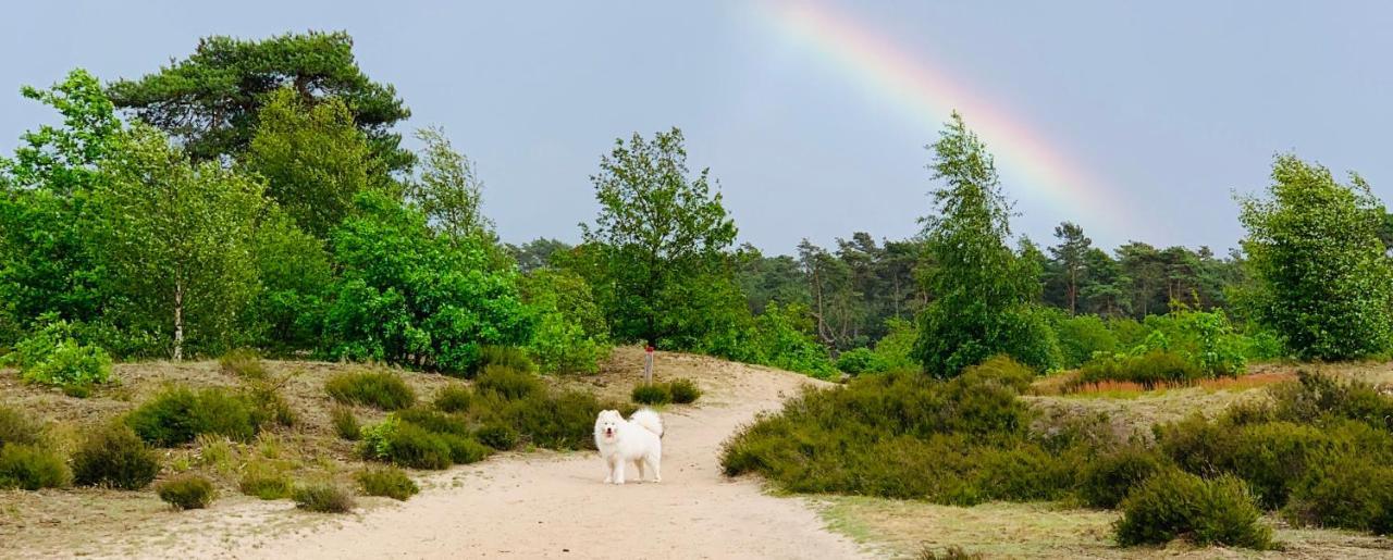 Tinystay Veluwe Otterlo Exterior photo